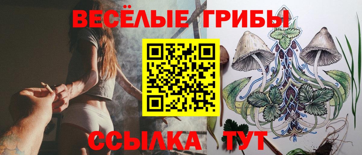 Дзержинск  Галлюциногенные грибы Psilocybe  Псилоцибиновые грибы мицелий  Вход с VPN 