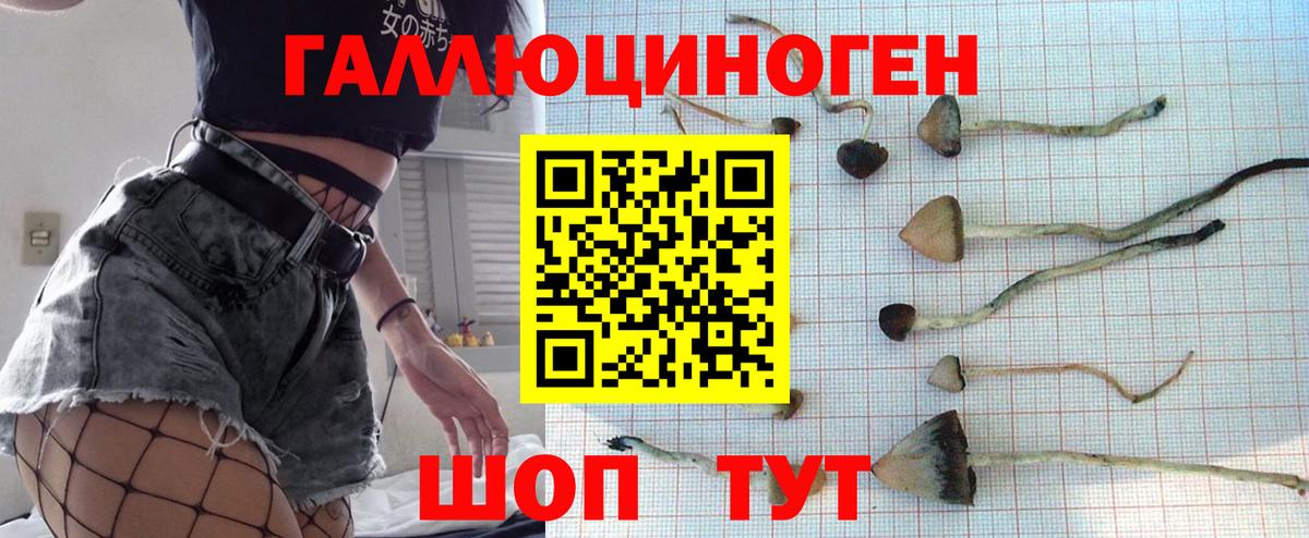 МЕТАДОН Дзержинск
